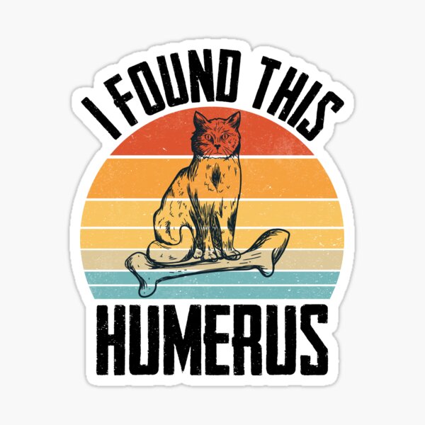 I found this humerus best sale cat shirt