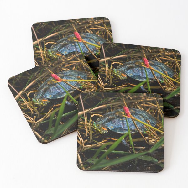 Item preview, A Turtle In Lago Chilicote designed and sold by alabca.