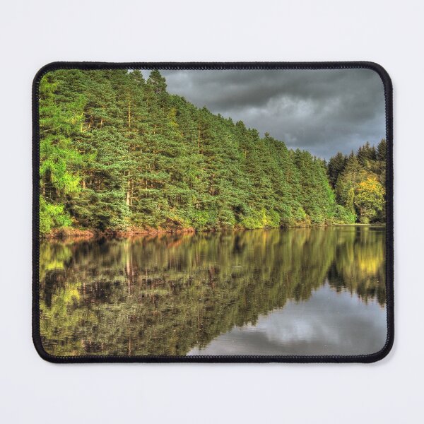 Aperçu de l'œuvre Réflexion sur la forêt de conte de fées Loch Ecosse créée et vendue par OBTImaging.