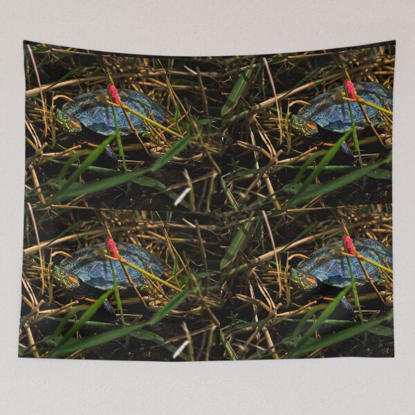 Item preview, A Turtle In Lago Chilicote designed and sold by alabca.