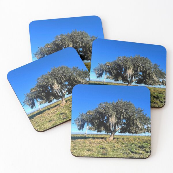 Item preview, Live Oak Draped In Spanish Moss  designed and sold by Jason Tompkins.