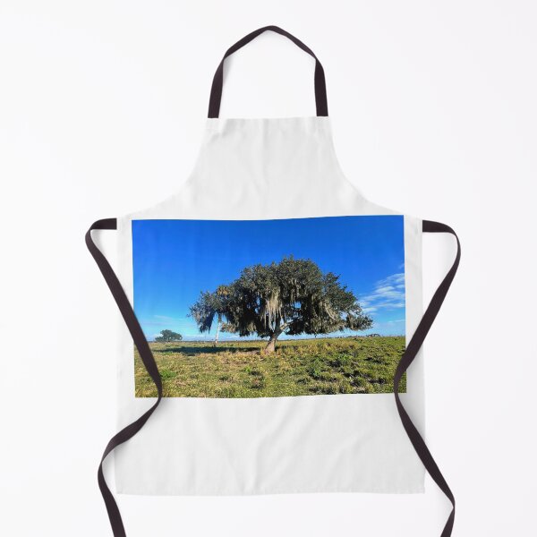 Item preview, Live Oak Draped In Spanish Moss designed and sold by Jason Tompkins.