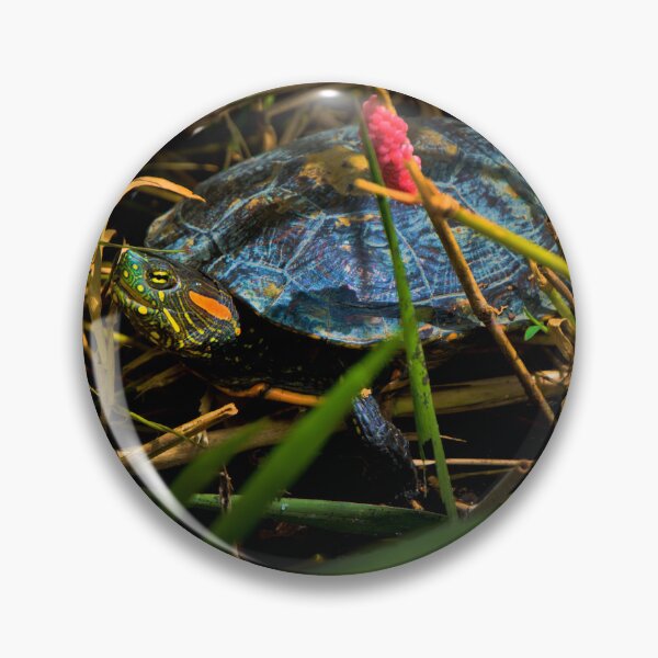 Item preview, A Turtle In Lago Chilicote designed and sold by alabca.