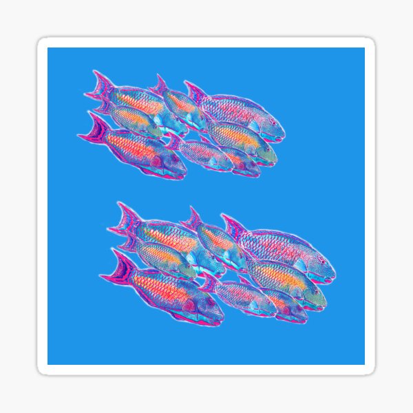 Parrot Fish Cushion Sticker