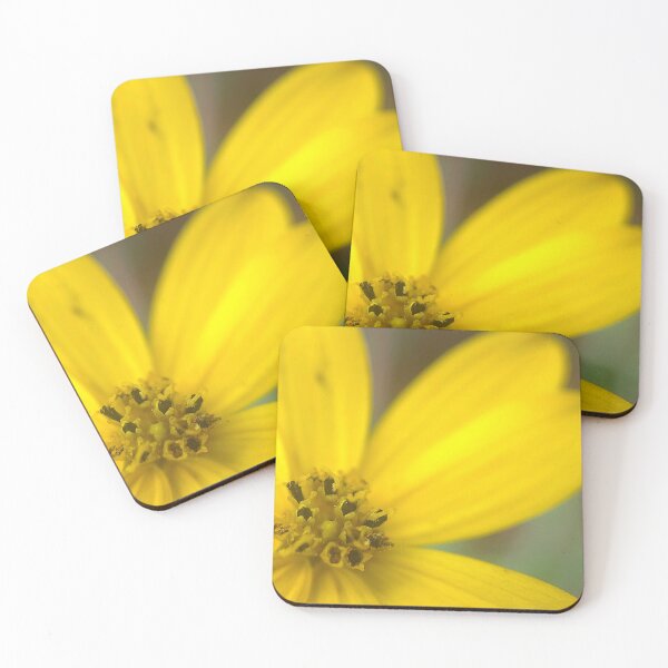 Item preview, Coreopsis Palmata designed and sold by Jason Tompkins.