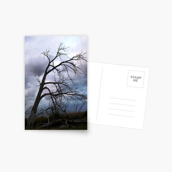 Desolation Postcard