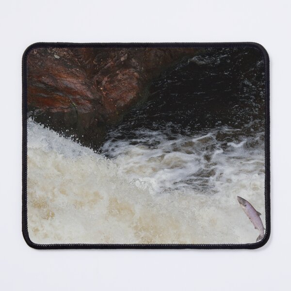Item preview, Salmon facing the waterfall designed and sold by chanonry.
