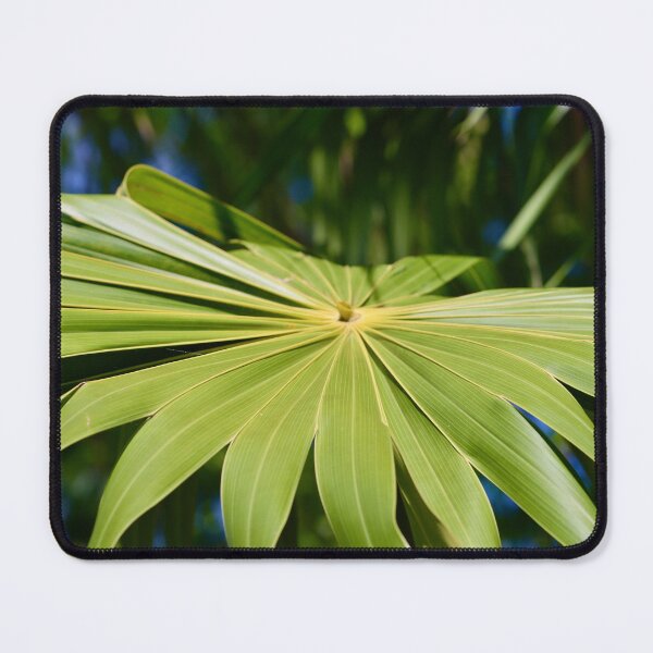 Item preview, Reassess and Reflect  designed and sold by Michiale.
