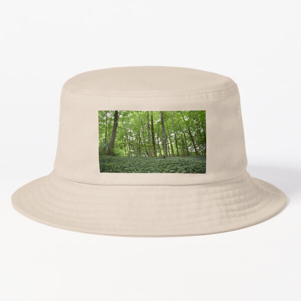 Item preview, A deciduous forest in summer designed and sold by Claude Laprise.