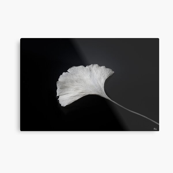 Ginkgo Metallbild