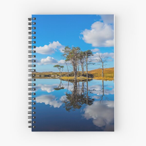 Aperçu de l'œuvre Loch Assynt Réflection Sky Light créée et vendue par OBTImaging.