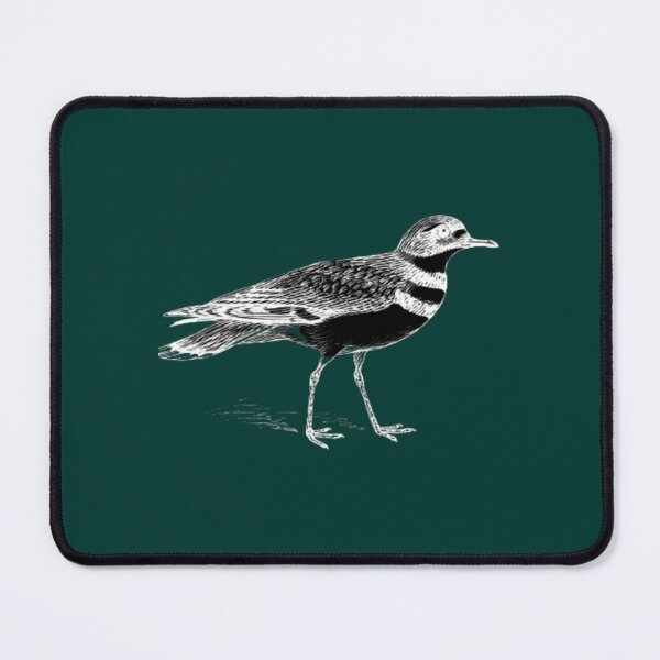 Item preview, feathers mcgraw 2023    designed and sold by AloaSurfCampL.