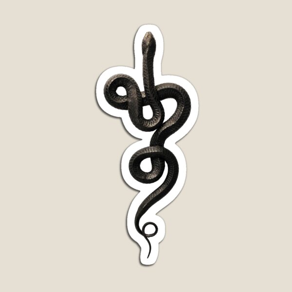 25+ Amazing Small Snake Tattoo Ideas & Designs | PetPress | Small snake  tattoo, Snake tattoo design, Cool small tattoos