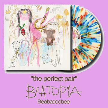 beabadoobee - the perfect pair (Lyric Video) 
