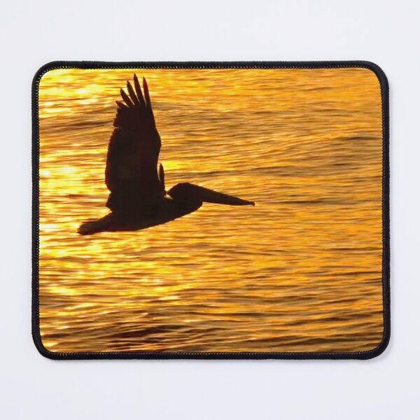 Item preview, Florida Pelican Flight designed and sold by TheArtCave.