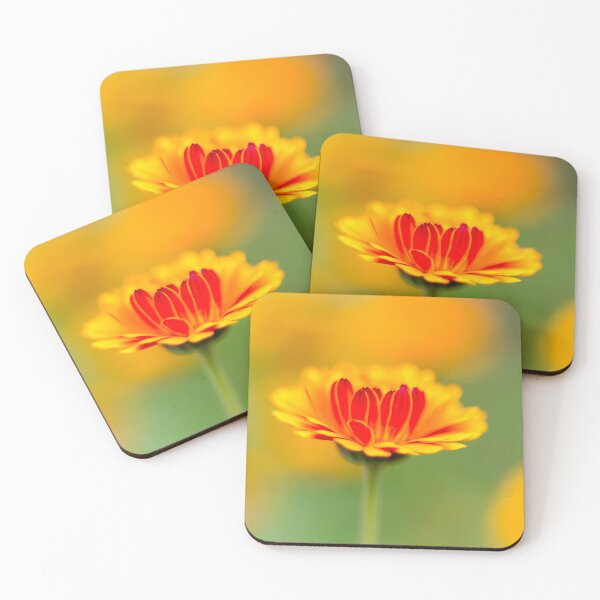 Item preview, Marigold mornings and wildflower afternoons designed and sold by FOLK ART FUSION by heidiannemorris.
