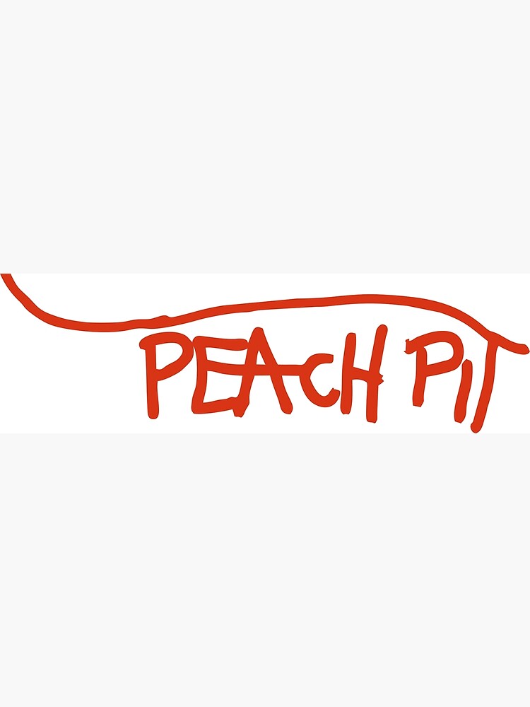 "PEACH PIT BAND" Poster for Sale by GraceScham Redbubble