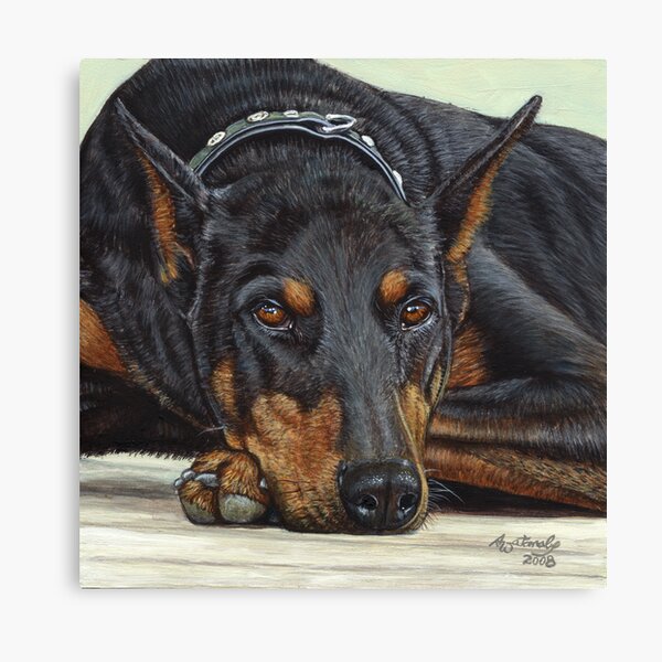 Phoebe Canvas Print