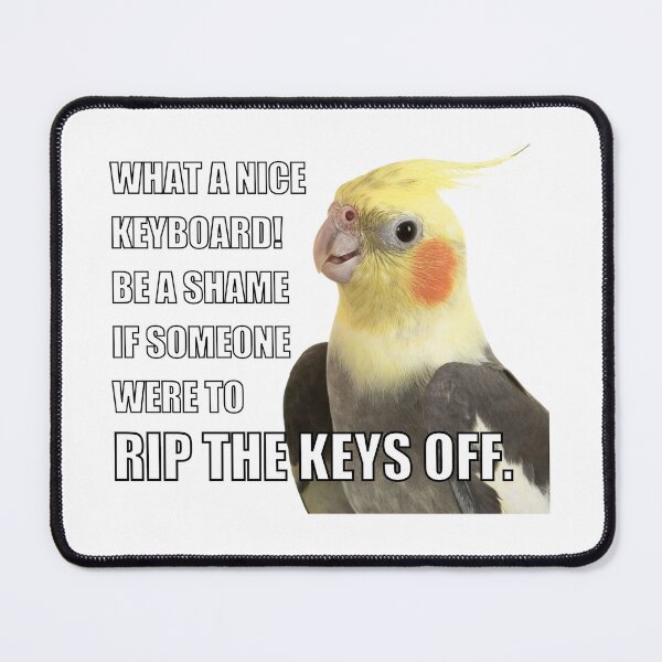 Item preview, What a nice keyboard parrot meme designed and sold by dontdoellisd.