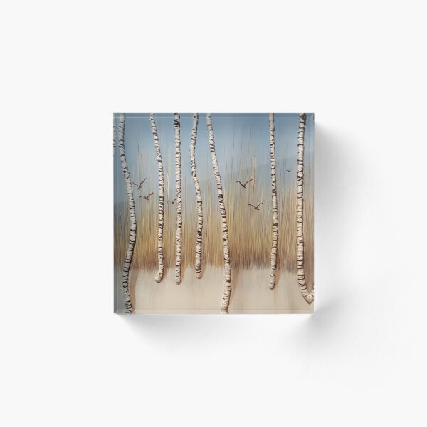 Birch Trees In Winter Acrylic Block