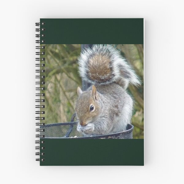 Item preview, Tufty the Squirrel designed and sold by lynn carter.