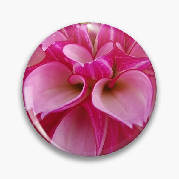 Item preview, Pink Zinnia photo designed and sold by Kim Arnott.