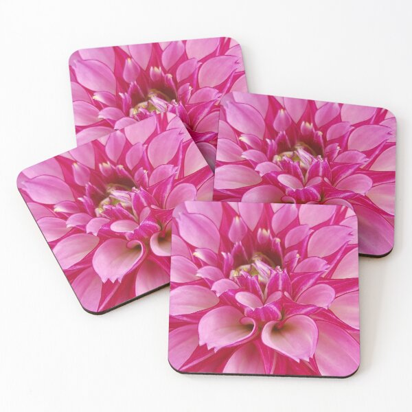 Item preview, Pink Zinnia photo designed and sold by Kim Arnott.