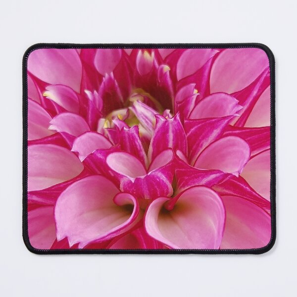 Item preview, Pink Zinnia photo designed and sold by Kim Arnott.