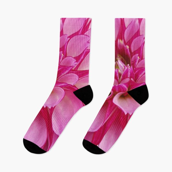 Item preview, Pink Zinnia photo designed and sold by Kim Arnott.