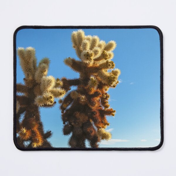 Item preview, Jumping Chollas designed and sold by jvnimages.