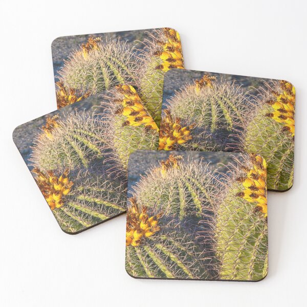 Item preview, Barrel Cacti designed and sold by jvnimages.
