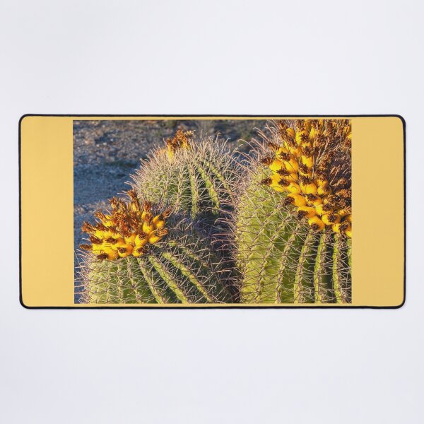 Item preview, Barrel Cacti designed and sold by jvnimages.