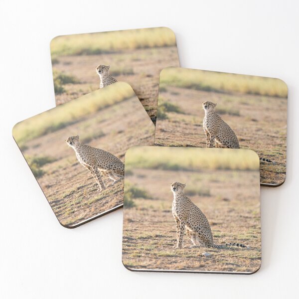 Item preview, Cheetah Mom Surveying in Africa designed and sold by emchangphoto.
