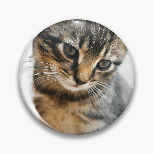 Aperçu de l'œuvre Bébé chat créée et vendue par CritterSticker.