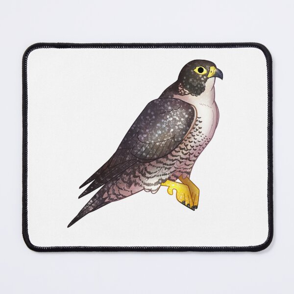 Item preview, Cozy Falcon designed and sold by Phoenix of Starlight.