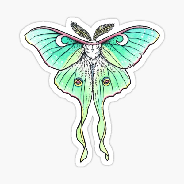 Luna Moth Stickers Redbubble