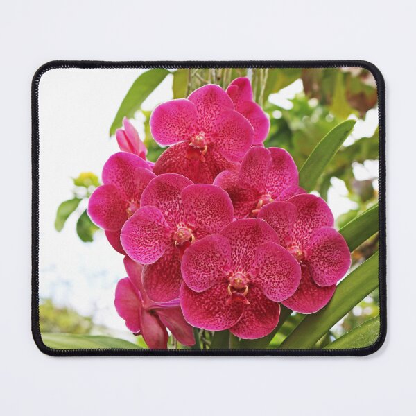 Item preview, Togetherness designed and sold by Michiale.