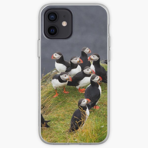 Puffins iPhone Soft Case