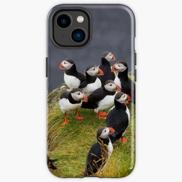 Puffins iPhone Tough Case