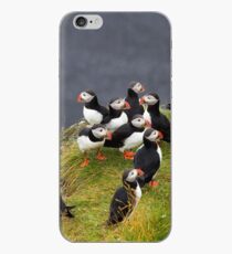 Puffins iPhone Case