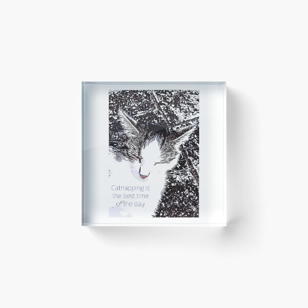 Item preview, Catnapping is the best time of the day designed and sold by n-l-celebration.