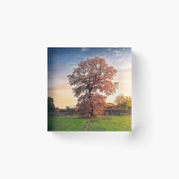 Item preview, Golden oak tree in the autumn field designed and sold by Dejan Travica.