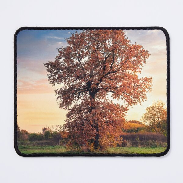 Item preview, Golden oak tree in the autumn field designed and sold by Dejan Travica.