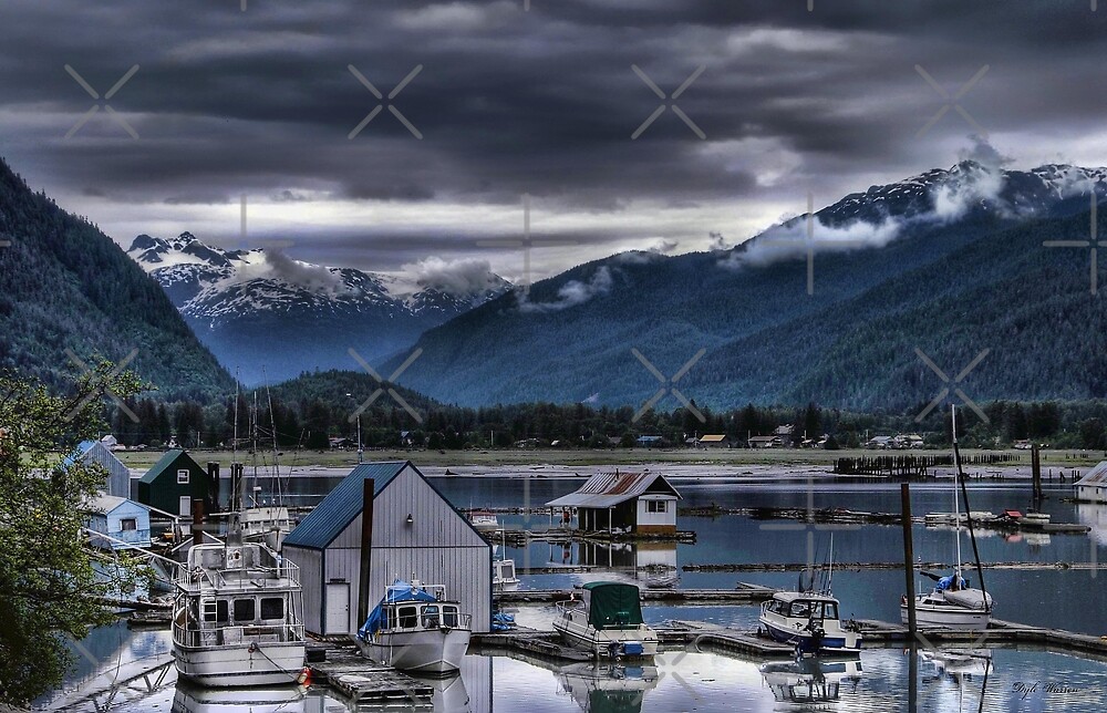 "Stewart B.C. Boat Harbor" by Dyle CronenwethWarren Redbubble