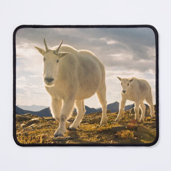 Item preview, Mom and baby Mountain Goat designed and sold by Eivor Kuchta.