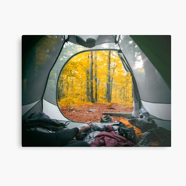 Fall on the Trail Metal Print