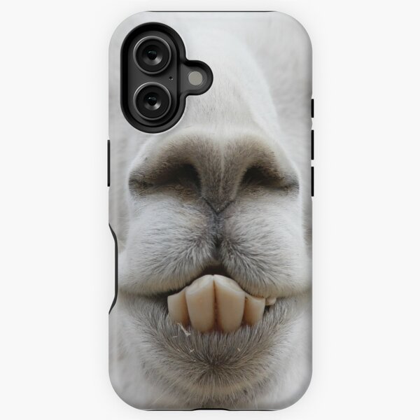 What are you looking at? Llama Laughing iPhone Tough Case