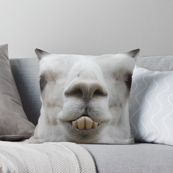 Item preview, What are you looking at?  Llama Laughing designed and sold by picturedlcphoto.