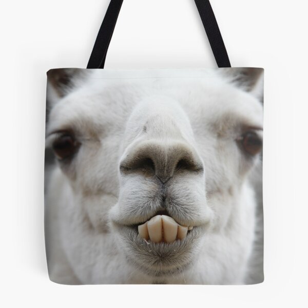 Item preview, What are you looking at?  Llama Laughing designed and sold by picturedlcphoto.