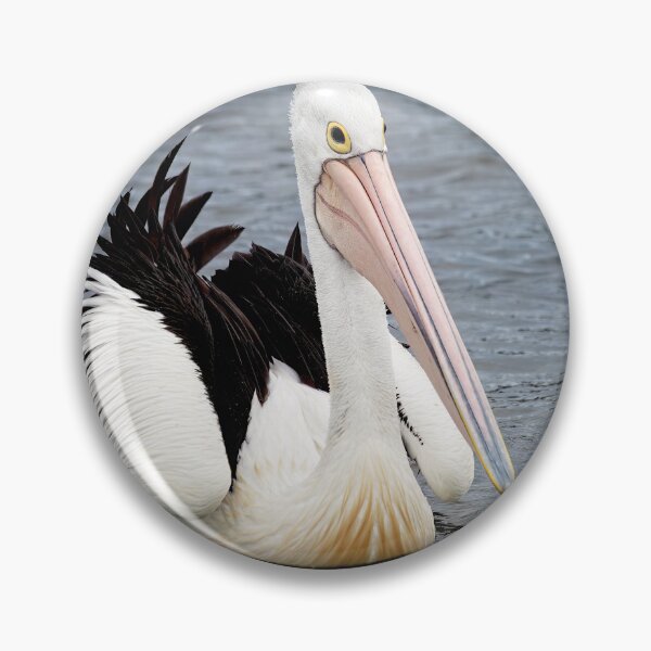 Item preview, Pelican - Square format designed and sold by GaryParnell.